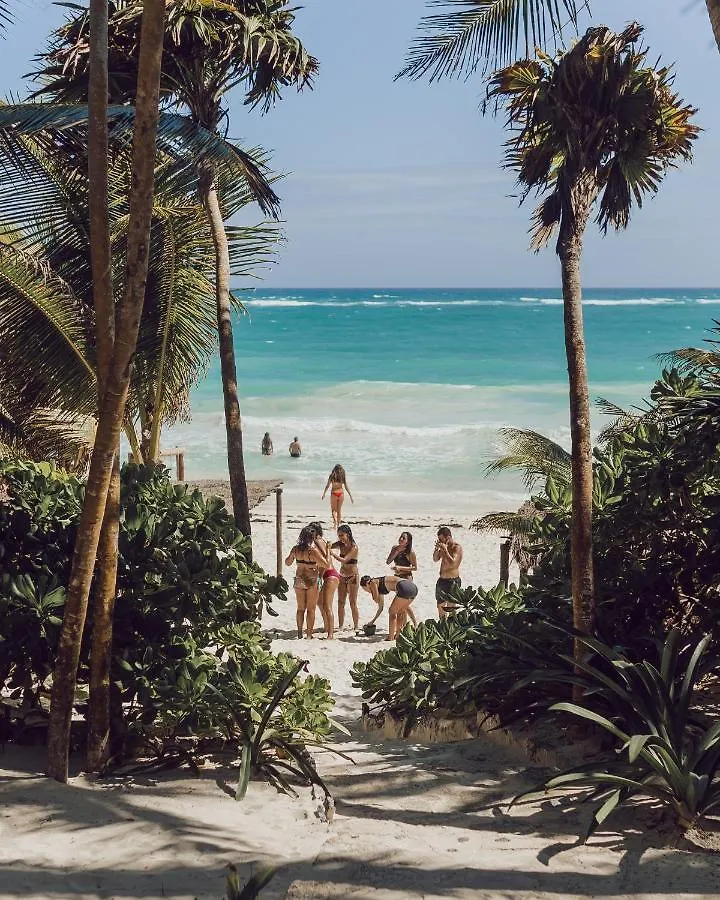 Nest Tulum Hotel