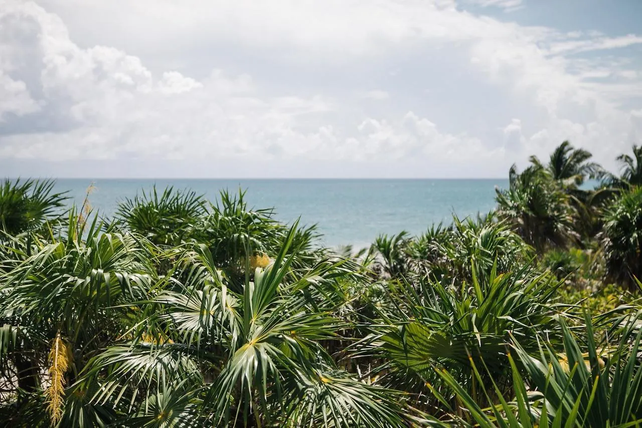 Hotel Nest Tulum 4*,