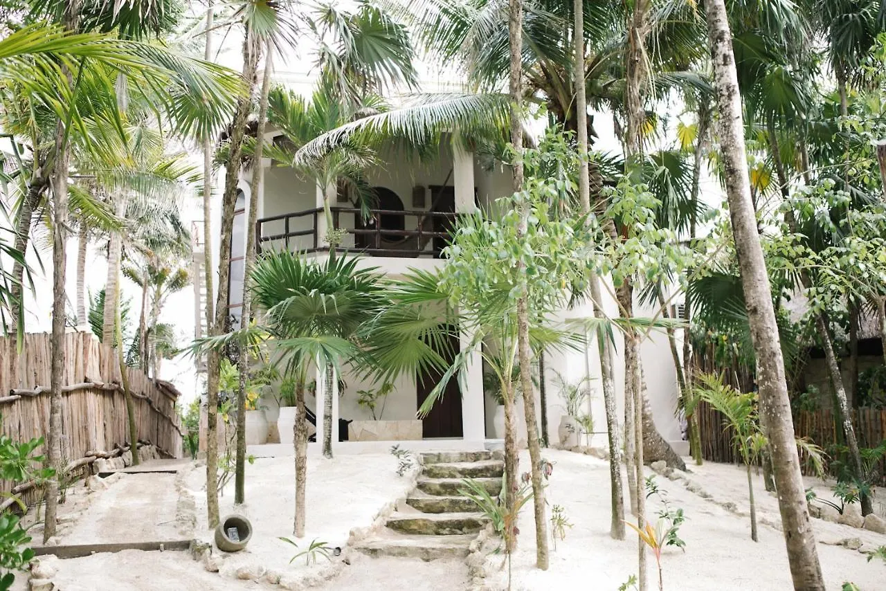 ****  Hotel Nest Tulum Mexique